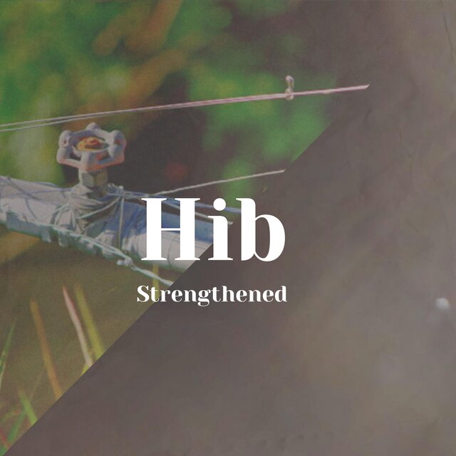Hib Strengthened