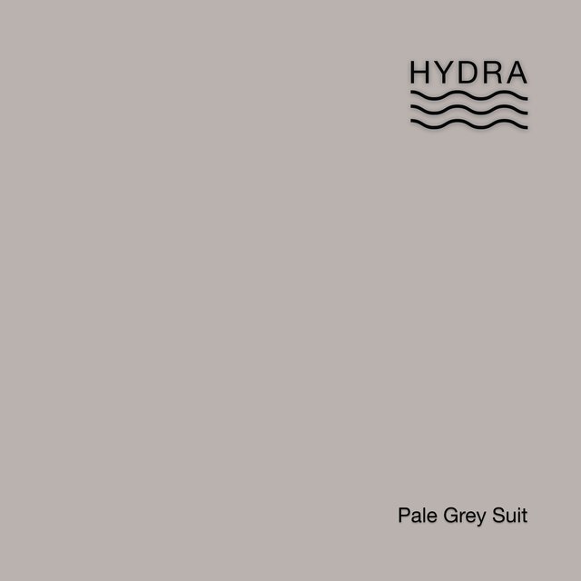Pale Grey Suit