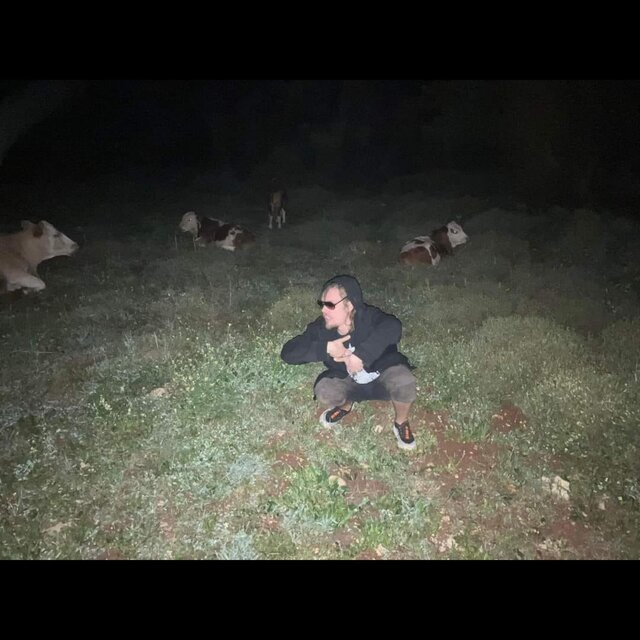 Not So Wise