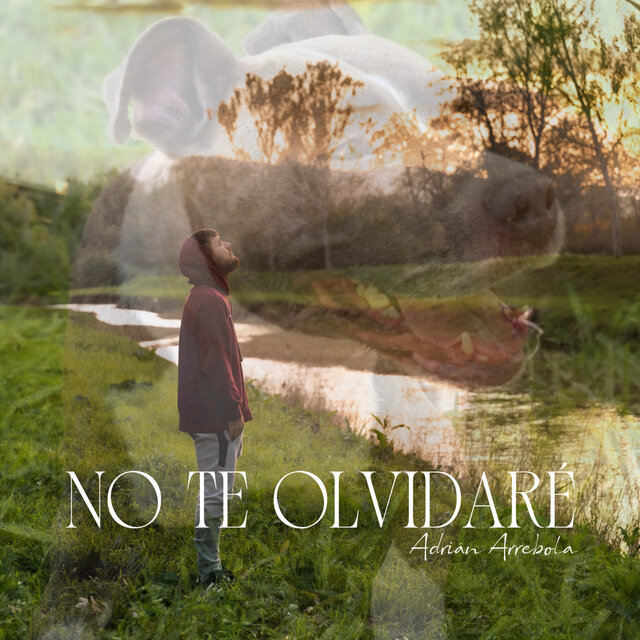 No te olvidaré