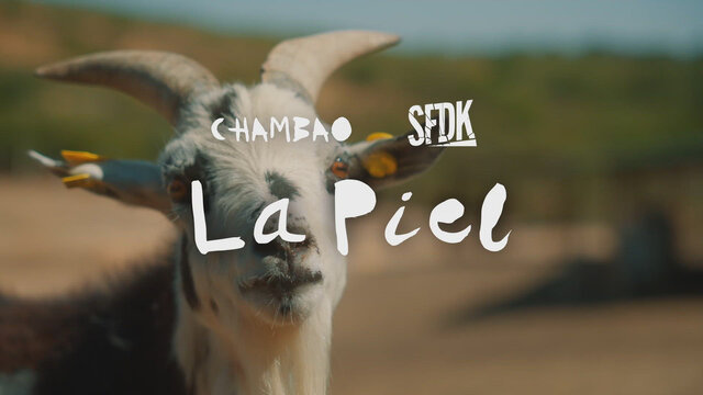 La Piel