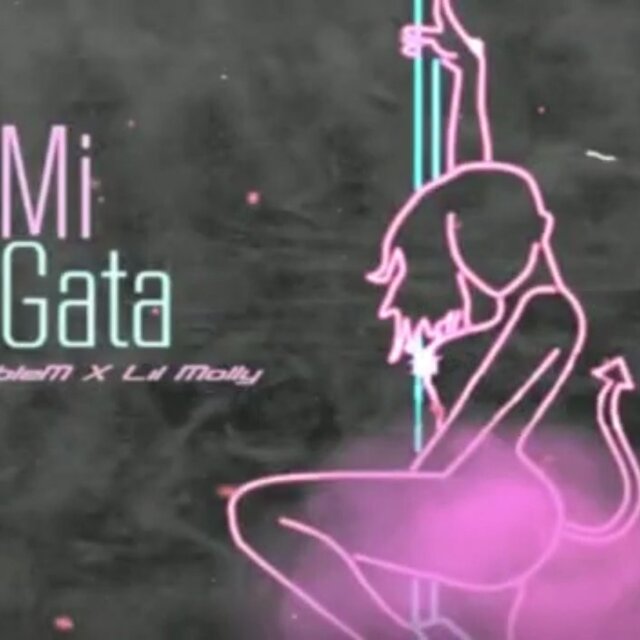 Mi Gata