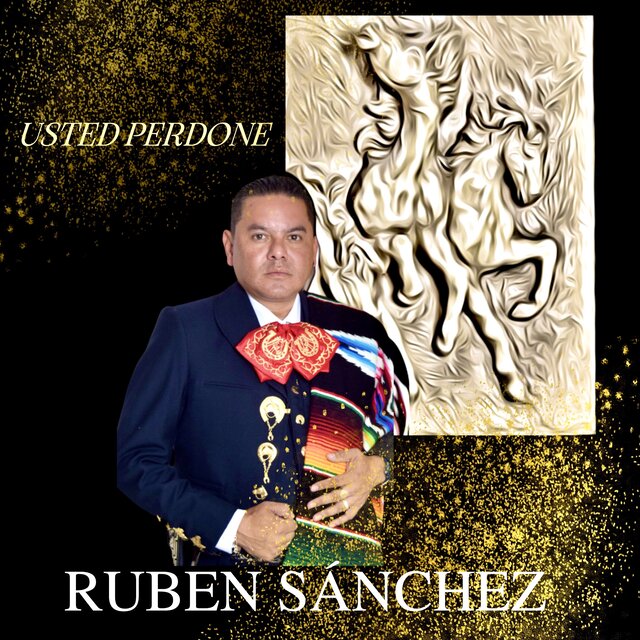 Usted Perdone