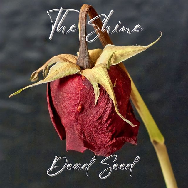 Dead Seed