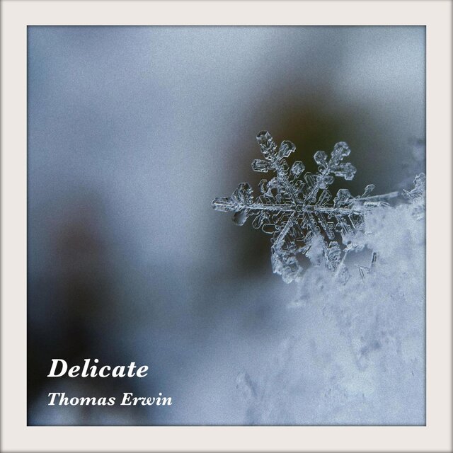 Delicate