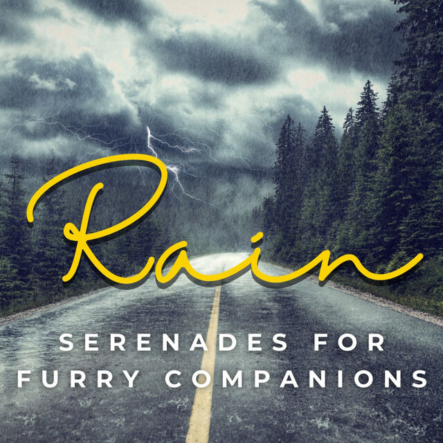 Rain's Pet Harmony: Serenades for Furry Companions