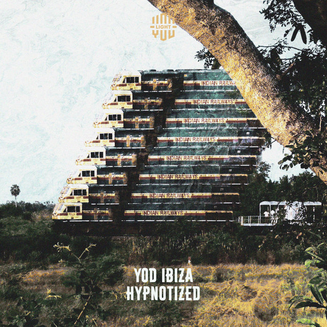 Hypnotized