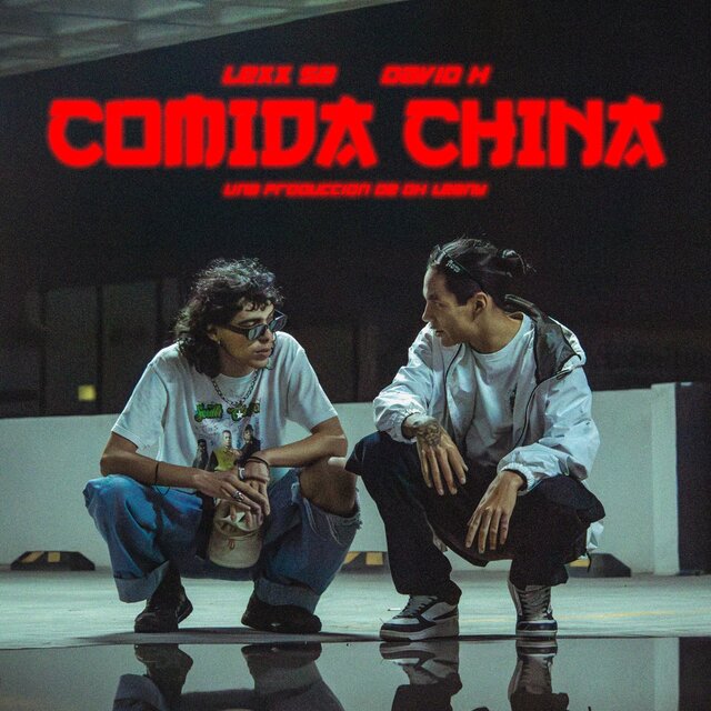 COMIDA CHINA