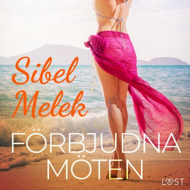 Förbjudna möten - Erotisk novell