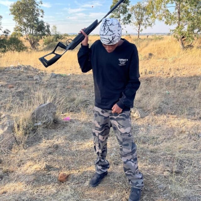 Zim Chronicles