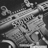 556 Love