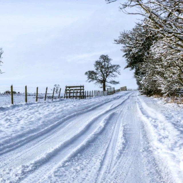 Silent Blizzard