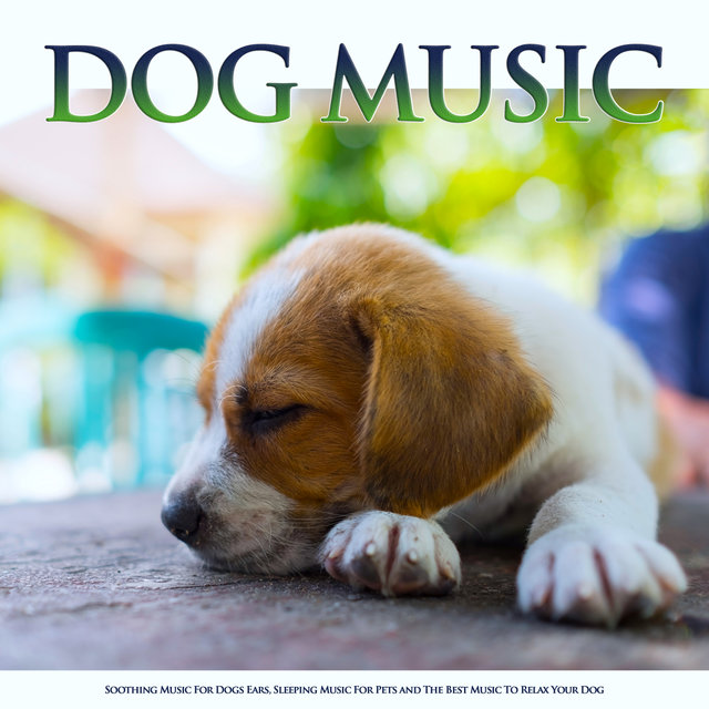 soothing music for puppies to sleep