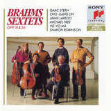 String Sextet No. 1 in B-Flat Major, Op. 18: I. Allegro ma non troppo