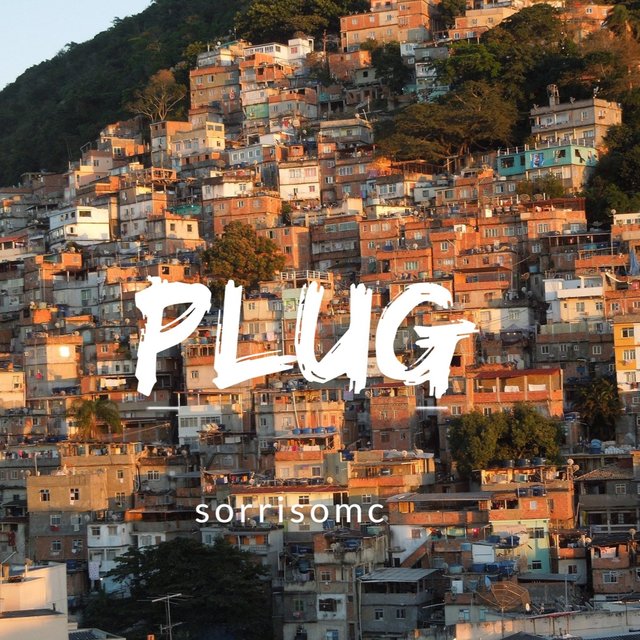 Plug