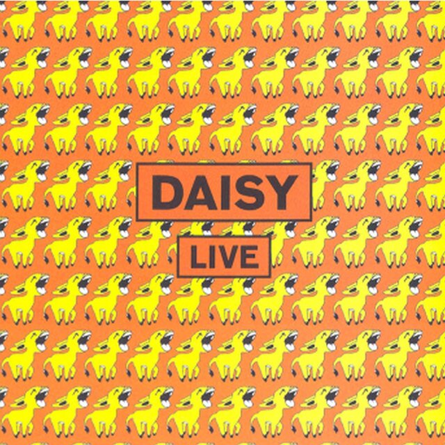 Daisy Live