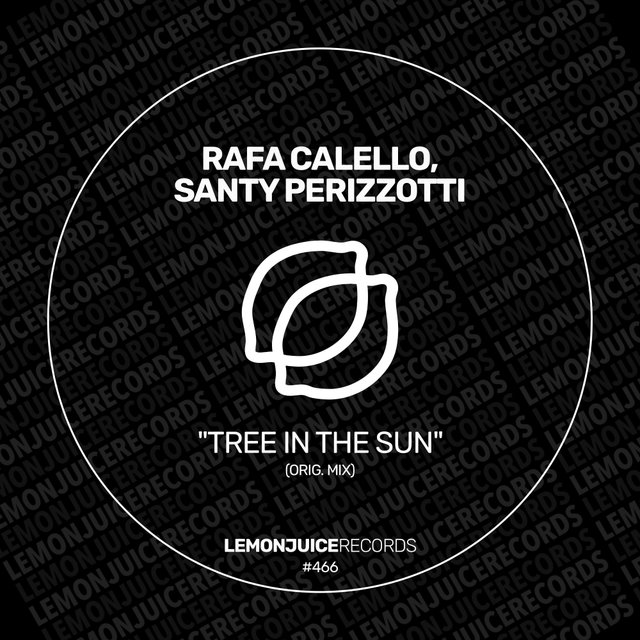 Tree In The Sun