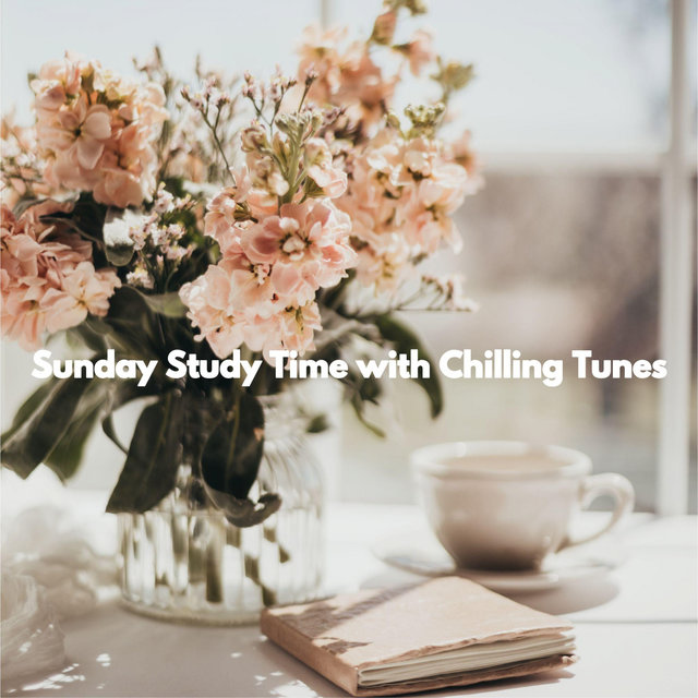 Sunday Study Time with Chilling Tunes