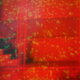 Cover art for album Component Fixations by Nicholas Bullen