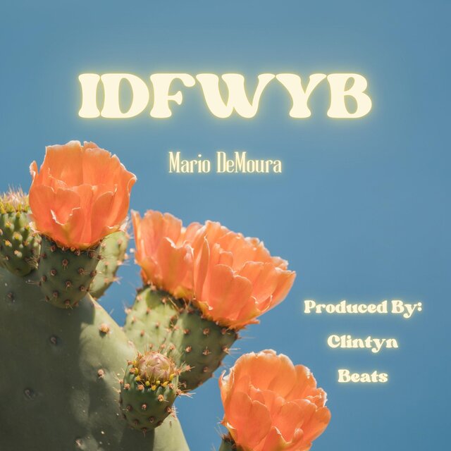 IDFWYB