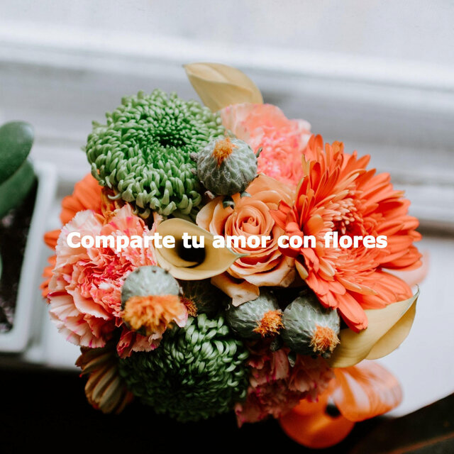 Comparte tu amor con flores