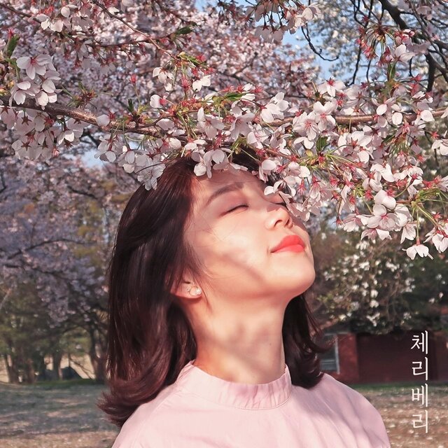 나의 이상형