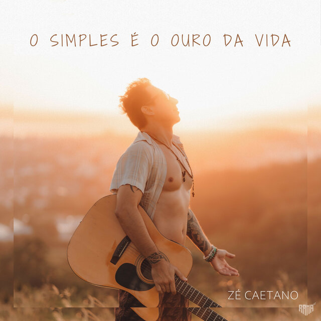O Simples É O Ouro Da Vida