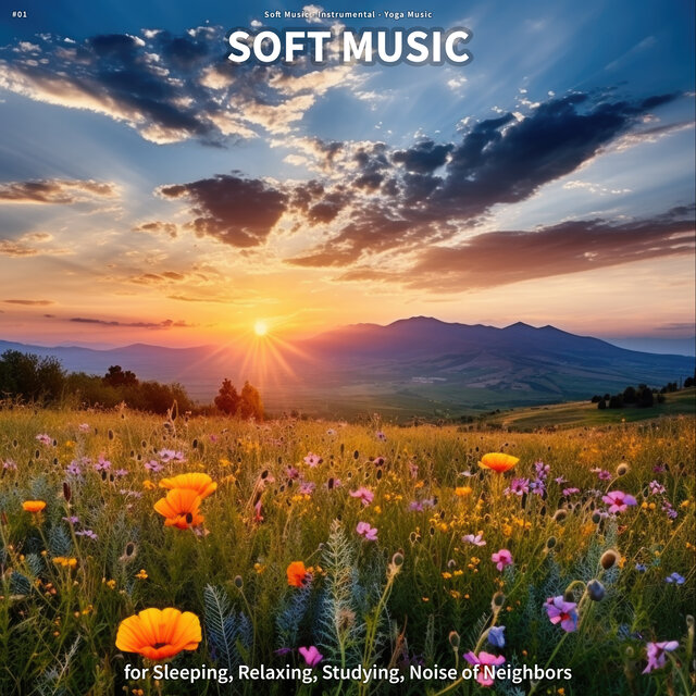 #01 Soft Music for Sleeping, Relaxing, Studying, Noise of Neighbors