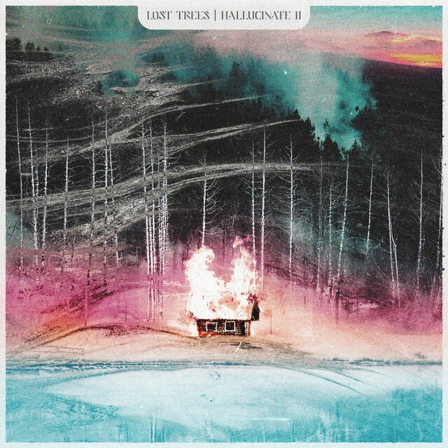 Hallucinate II