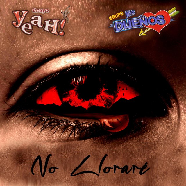 No Lloraré (feat. Grupo Los Dueños.)