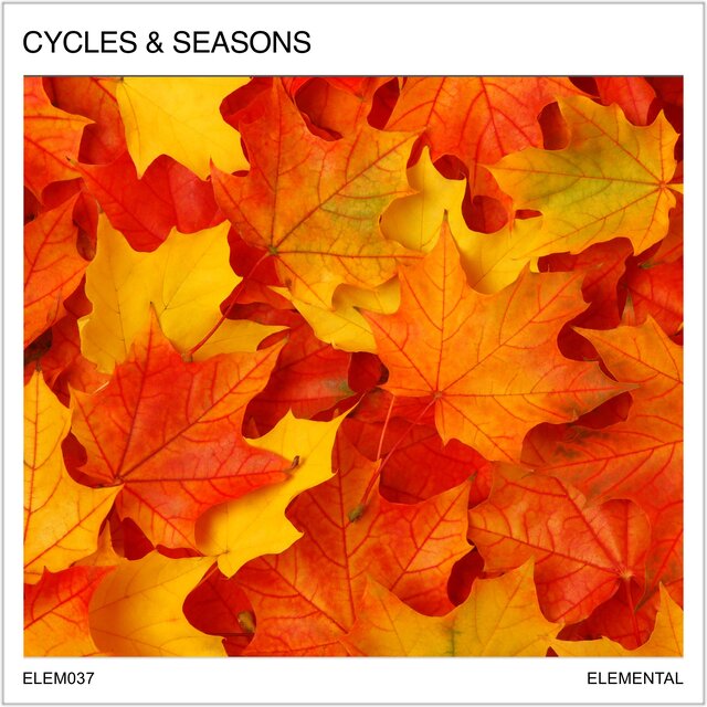 Cycles & Seasons: Enchanting Moments