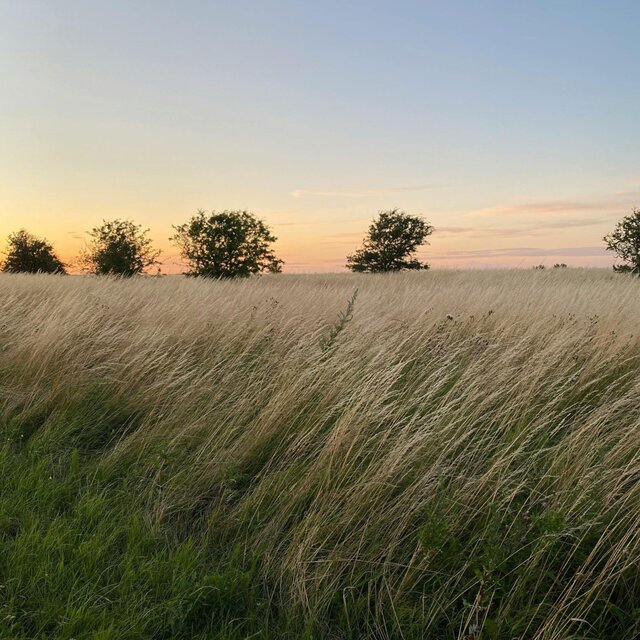 Echoing Breeze