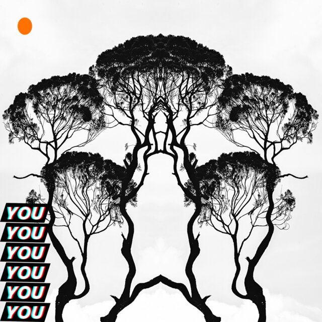 YOU (HiitmonDre Remix)