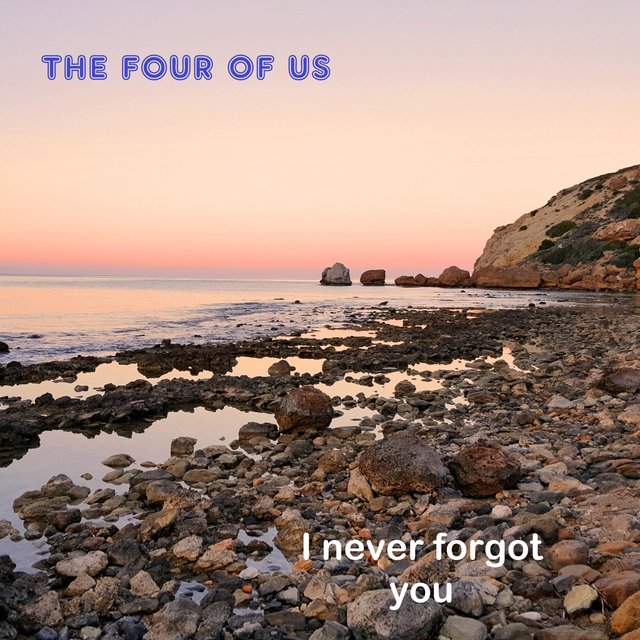 I Never Forgot You