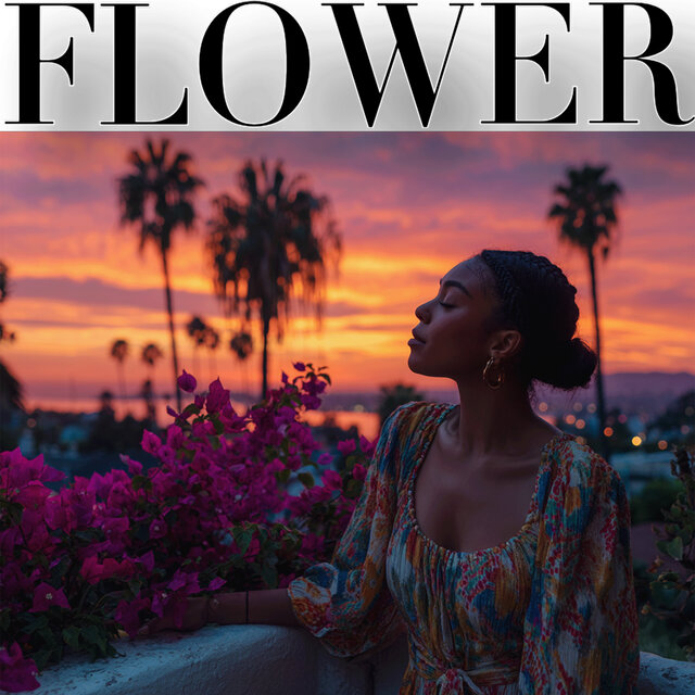 Los Angeles - Sunset Boulevard 洛杉磯夕陽大道