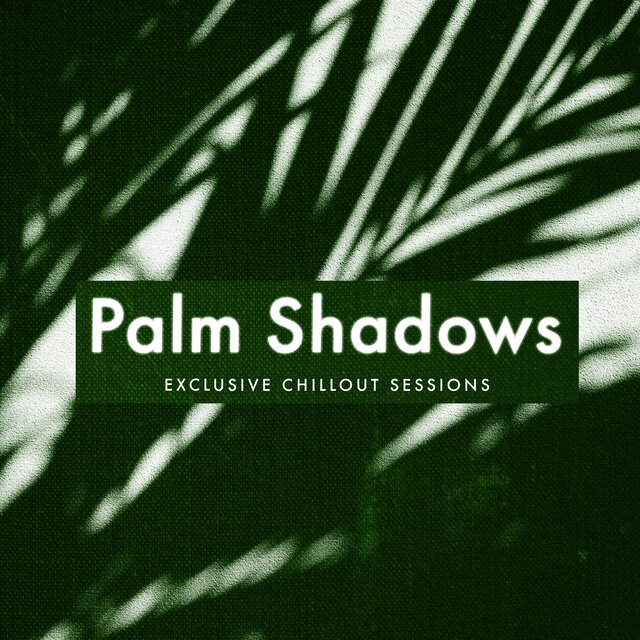 Palm Shadows