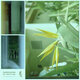 Cover art for album Jet Don't Lag by Webmoms, Horace Maurice