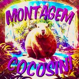 MONTAGEM COCOSINI (Sped Up)