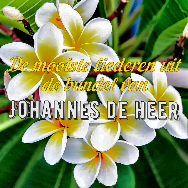 De mooiste liederen uit de bundel van Johannes de Heer