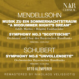 Symphony No. 3 in A Minor, Op. 56, IFM 180: I. Introduction. Andante con moto; Allegro un poco agitato