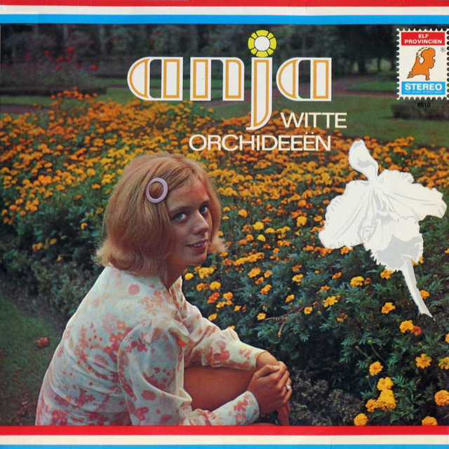 Witte Orchideeën