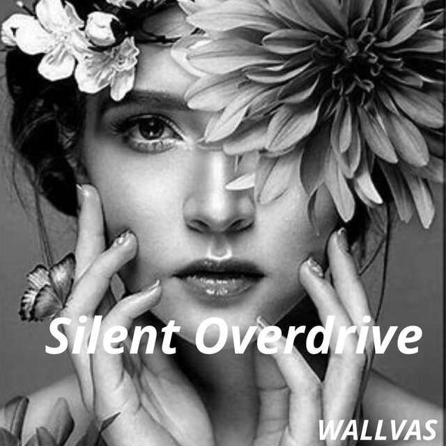 Silent Overdrive