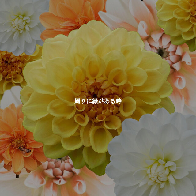周りに緑がある時