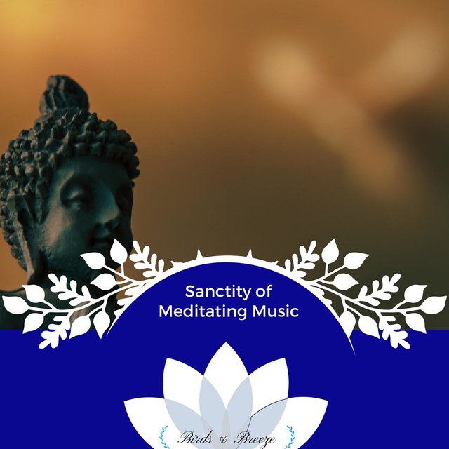 Sanctity Of Meditating Music