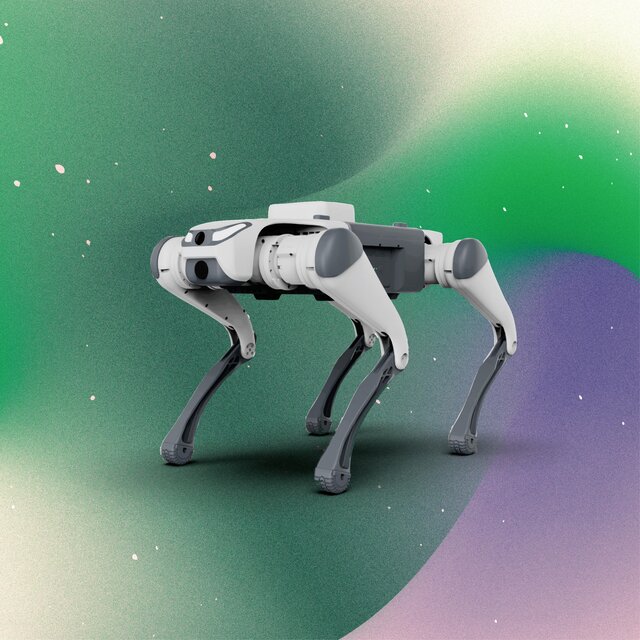 Robots
