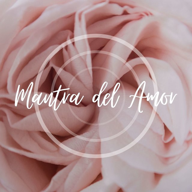 Mantra del Amor: Música Romántica para Abrir Tu Corazón y Atraer el Amor