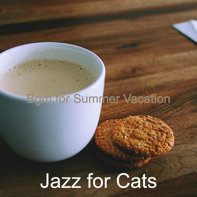 Bgm for Summer Vacation