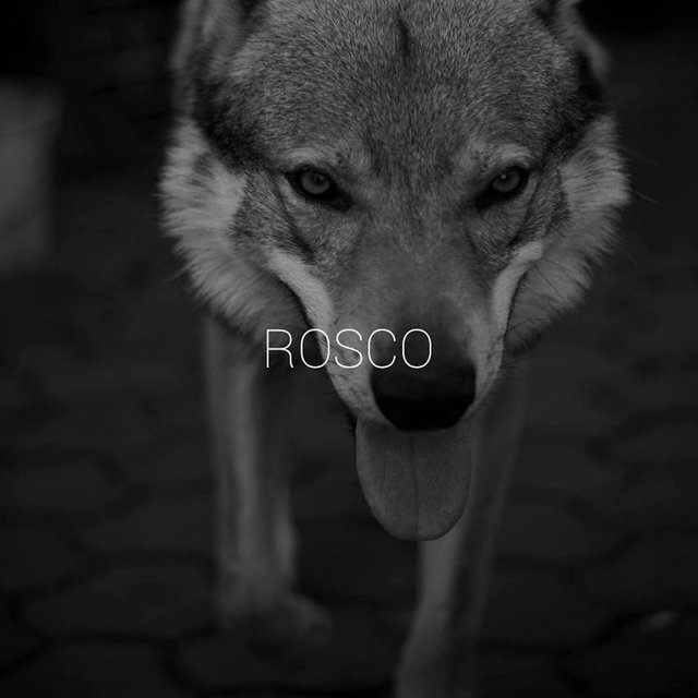 ROSCO