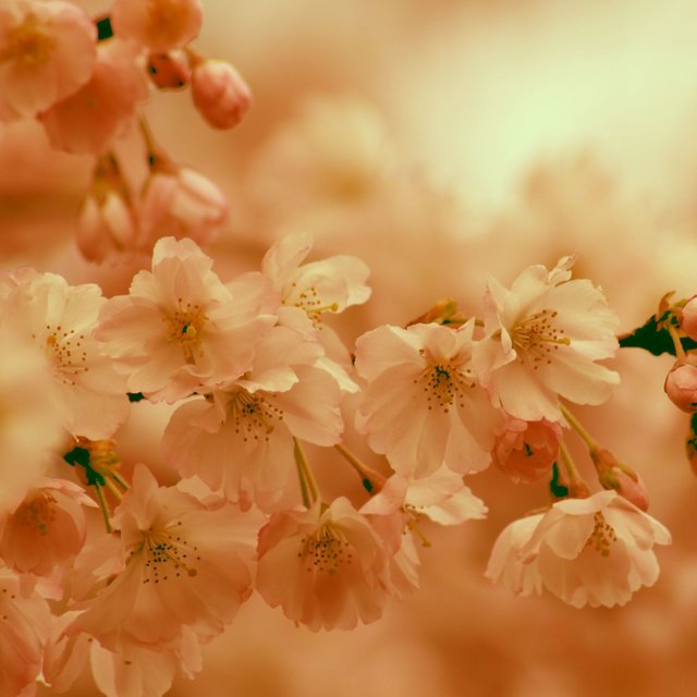 Loopable Brown Noise & White Noise & Pink Noise Sounds.