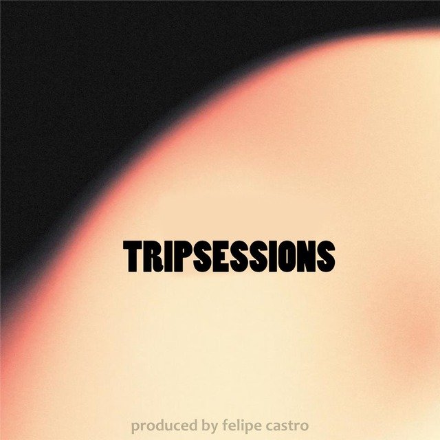 Trip Sessions